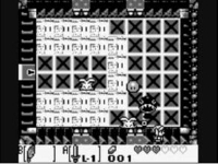 ゼルダの伝説 夢をみる島　カナレットの城のバグダンジョン 