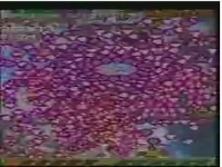 虫姫さまふたり ウルトラモード 神業プレイ / シューティングゲーム動画