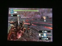 モンスターハンターポータブル2nd アカムトルムを高台でハメる（バグ） 弓 