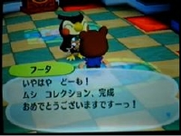 『街へいこうよ どうぶつの森』 全ての虫を寄贈し終える瞬間＆博物館コンプリートの瞬間 