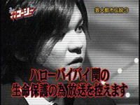 一般動画