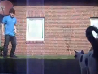 ブレイクダンスするご主人様に近づいてぶっ飛ばされるネコさん