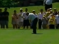 プロゴルファーのファジー・ゼラーのミラクルバックスピンショット