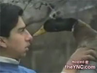 アヒルに催眠術をかけようとしたらヒドい目に遭ってしまった男性