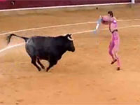 スペインの闘牛でマタドールが牛の角に顔面を貫かれる恐ろしいアクシデント
