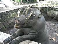 見つけたよ！リアル・おっことぬし様！！