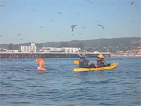 海で女性を撮影していたら奇跡の映像が撮れた動画。突然クジラがどーん！