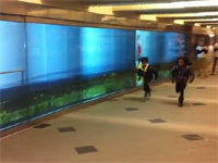 ASICSの粋な巨大広告 「マラソンランナーと並走してみる？」