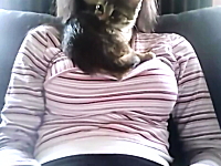 おっぱいの上が好きすぎる子猫。下ろしてもすぐ戻る。巨乳フェチなネコ。