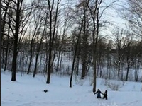 1年間を90秒間に圧縮、巡る季節を感じる事の出来る映像