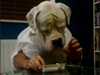 この犬人間、違和感が無さ過ぎるｗ