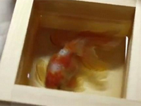 すげええぇぇええ！本物にしか見えない３Dアート
