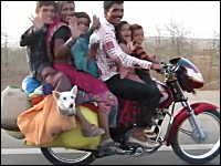 犬がシュールすぎるｗ一台のバイクに一家6人＋2匹！乗りすぎｗ