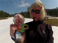 神動物。オポッサムがスノーボーディング！？