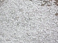 一般動画