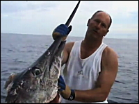 巨大カジキだ！と思ったら釣り上げる寸前にお頭だけになってしまい悲しい。