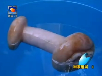 農民「深さ80Mの井戸から両方に傘が付いたキノコを発見した」実は・・・。