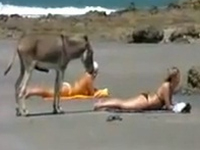 ビキニのお姉さんを前に、必死に耐えているロバ。・・・どうなんだ。