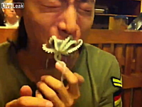 食べられまいと最後まで抵抗するタコ。韓国の生タコ踊り食いに挑戦した二人