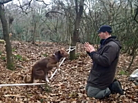 ロープの上で二本立ちする芸を教えられているワンコ。プルプルしてる(*´д｀*)