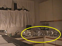 これがネコの反射神経か。猫ほいほいに掛かったネコが超おどろくビデオ。