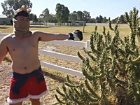 上半身裸でサボテンに突っ込んだら⇒とても痛い。を動画に撮る⇒人気に。