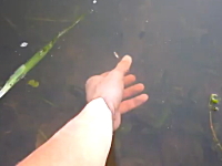 えええ！w(ﾟoﾟ)w　ブラックバスを「素手で釣る」男性のワザが凄い9秒動画。