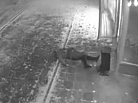 人間が刺される瞬間ってこんな感じなんだ・・・。女性が突然ナイフで刺される