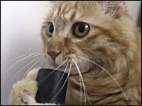 掃除機の吸い込みに口に近づきすぎて顔を吸われてしまう所で笑ってしまう