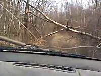 海外の酷道はレベルが違った動画。豪快ドライブ。なんで通ろうと思ったｗｗ