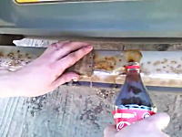 コカコーラって飲むだけじゃなかったのか。知って得する以外な使い方ビデオ。