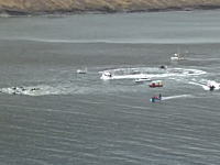 シーシェパードさんこちらです。フェロー諸島のイルカ追い込み漁の様子。