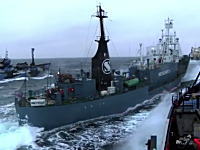 シー・シェパードの海賊船が日本の調査船に体当たり攻撃。その映像が公開。