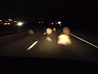 夜間の高速道路を走行中にとつぜん現れたタンブルウィードの大群にビビりまくる女性