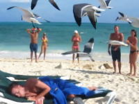 ビーチで眠り込んだ友人に野生生物を召喚するイタズラをやってみた動画。Omg