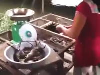 一般動画