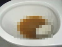 コリア便利かもしれない。トイレが詰まった時に助かる使い捨てのシートが素敵。