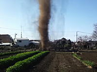 葉で撮影された「つむじ風」がつむじ風のレベルを超えていると海外で話題に。