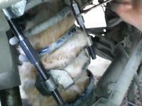 自動車のコイルスプリングの中で身動きが取れなくなっていた猫を救出