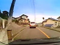 いるいるこんな車ｗｗｗ電柱が来るたびに避けて通るランクルさん。