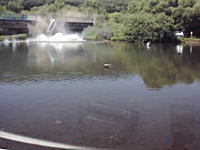 衝撃の瞬間。川に泳ぎにきていたら車が橋を突き破って落ちてきた