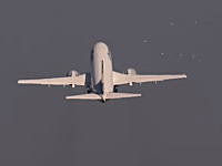 離陸していくルフトハンザ航空のボーイング737に鳩の群れが衝突する瞬間。