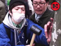 街路樹に釘と金槌で手のひらを打ちつける(@_@;)痛い動画をつべてる日本人。