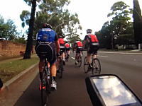 なんという不運。トレーニング走行中の自転車の集団が●●に襲われてしまう瞬間