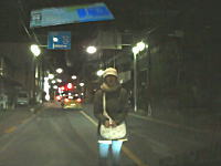 なにこれ怖い。行く手を阻むように道路で車の進路に立ち塞がる子供連れのお母さん