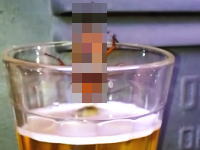 ブラジルのリオデジャネイロでビールを飲むゴキブリの姿が撮影されちゃう。