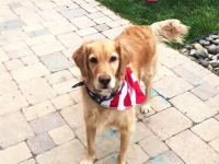 おやつを口でキャッチするのが下手くそすぎるワンコの動画が大人気にｗ