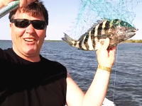 人間にとても良く似た歯を持つ魚「シープスヘッド」これ完全に人間の前歯や。