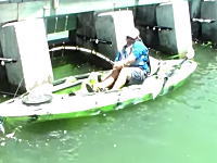 これは叫ぶわｗカヤック釣りで超巨大な魚を釣り上げた男の雄叫び！すげえｗ