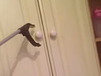 マジックハンドを気に入り過ぎた男性。一日中つかって奥さんを呆れさせる。